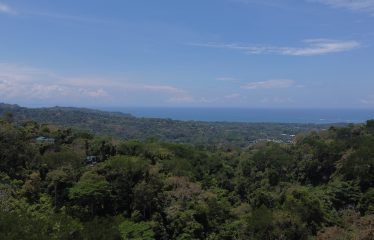 BUILDING PROPERTY WITH SUNSET VIEWS AND NEAR TO THE WATERFALL, IN UVITA – 6.29 ACRES