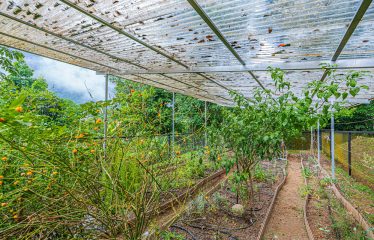 MOUNTAIN PROPERTY WITH TWO BEDROOMS AND SOLAR POWERED, IN TINAMASTES – 5.4 ACRES