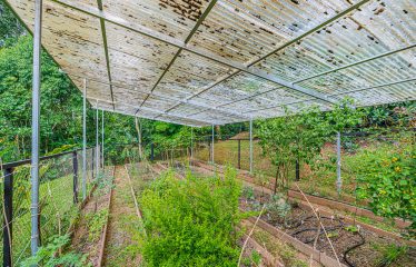 MOUNTAIN PROPERTY WITH TWO BEDROOMS AND SOLAR POWERED, IN TINAMASTES – 5.4 ACRES