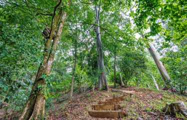 MOUNTAIN PROPERTY WITH TWO BEDROOMS AND SOLAR POWERED, IN TINAMASTES – 5.4 ACRES