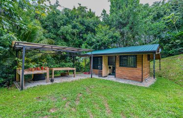 MOUNTAIN PROPERTY WITH TWO BEDROOMS AND SOLAR POWERED, IN TINAMASTES – 5.4 ACRES