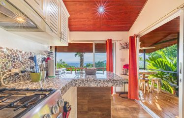 LUXURY PROPERTY WITH FOUR BEDROOMS AND SUNSET VIEWS, IN PORTALON – 3.95 ACRES
