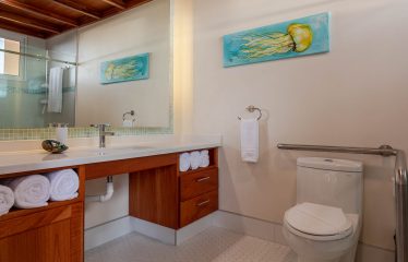 MOUNTAIN PROPERTY WITH FOUR BEDROOMS AND PANORAMIC OCEAN VIEWS, IN BALLENA – 2 ACRES