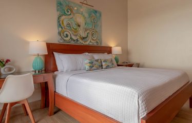 MOUNTAIN PROPERTY WITH FOUR BEDROOMS AND PANORAMIC OCEAN VIEWS, IN BALLENA – 2 ACRES