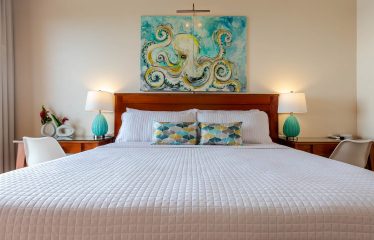 MOUNTAIN PROPERTY WITH FOUR BEDROOMS AND PANORAMIC OCEAN VIEWS, IN BALLENA – 2 ACRES