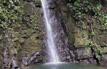 BUILDING PROPERTY WITH SUNSET VIEWS AND NEAR TO THE WATERFALL, IN UVITA – 6.29 ACRES