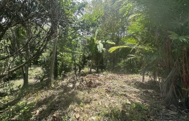 BUILDING PROPERTY WITH SUNSET VIEWS AND NEAR TO THE WATERFALL, IN UVITA – 6.29 ACRES