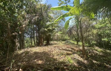 BUILDING PROPERTY WITH SUNSET VIEWS AND NEAR TO THE WATERFALL, IN UVITA – 6.29 ACRES