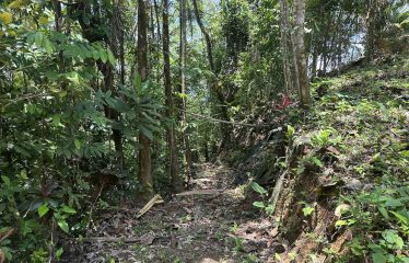 BUILDING PROPERTY WITH SUNSET VIEWS AND NEAR TO THE WATERFALL, IN UVITA – 6.29 ACRES
