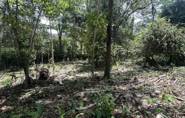 BUILDING PROPERTY WITH SUNSET VIEWS AND NEAR TO THE WATERFALL, IN UVITA – 6.29 ACRES