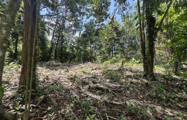 BUILDING PROPERTY WITH SUNSET VIEWS AND NEAR TO THE WATERFALL, IN UVITA – 6.29 ACRES