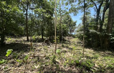 BUILDING PROPERTY WITH SUNSET VIEWS AND NEAR TO THE WATERFALL, IN UVITA – 6.29 ACRES