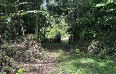 BUILDING PROPERTY WITH SUNSET VIEWS AND NEAR TO THE WATERFALL, IN UVITA – 6.29 ACRES