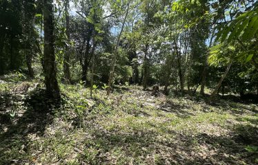 BUILDING PROPERTY WITH SUNSET VIEWS AND NEAR TO THE WATERFALL, IN UVITA – 6.29 ACRES