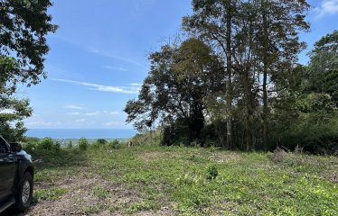 BUILDING PROPERTY WITH SUNSET VIEWS AND NEAR TO THE WATERFALL, IN UVITA – 6.29 ACRES