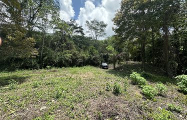 BUILDING PROPERTY WITH SUNSET VIEWS AND NEAR TO THE WATERFALL, IN UVITA – 6.29 ACRES