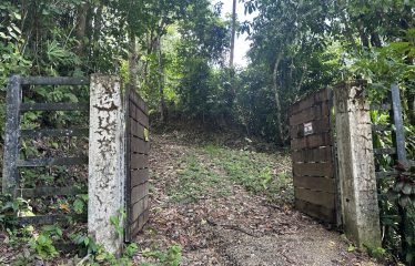 BUILDING PROPERTY WITH SUNSET VIEWS AND NEAR TO THE WATERFALL, IN UVITA – 6.29 ACRES