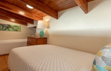 MOUNTAIN PROPERTY WITH FOUR BEDROOMS AND PANORAMIC OCEAN VIEWS, IN BALLENA – 2 ACRES