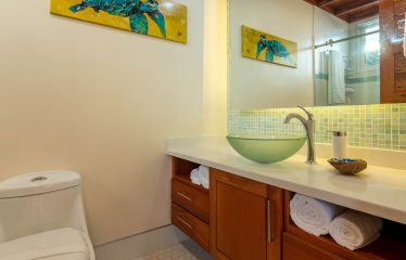 MOUNTAIN PROPERTY WITH FOUR BEDROOMS AND PANORAMIC OCEAN VIEWS, IN BALLENA – 2 ACRES