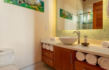 MOUNTAIN PROPERTY WITH FOUR BEDROOMS AND PANORAMIC OCEAN VIEWS, IN BALLENA – 2 ACRES
