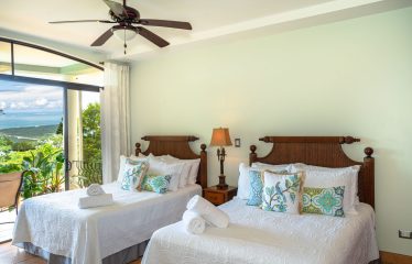 LUXURY PROPERTY WITH FIVE BEDROOMS AND OCEAN VIEWS, IN THE HILLS OF PORTALON – 7 ACRES