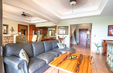 LUXURY PROPERTY WITH FIVE BEDROOMS AND OCEAN VIEWS, IN THE HILLS OF PORTALON – 7 ACRES