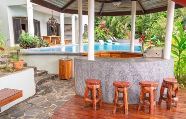 LUXURY PROPERTY WITH FIVE BEDROOMS AND OCEAN VIEWS, IN THE HILLS OF PORTALON – 7 ACRES