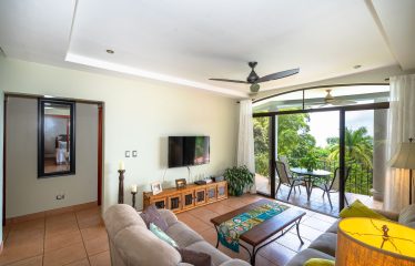 LUXURY PROPERTY WITH FIVE BEDROOMS AND OCEAN VIEWS, IN THE HILLS OF PORTALON – 7 ACRES
