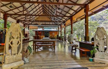 THE JUNGLE AND OCEAN VIEWS RETREAT IN THE HILLS OF HATILLO – 0.56 ACRES