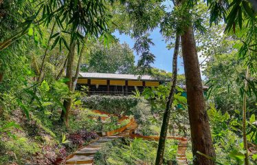 THE JUNGLE AND OCEAN VIEWS RETREAT IN THE HILLS OF HATILLO – 0.56 ACRES