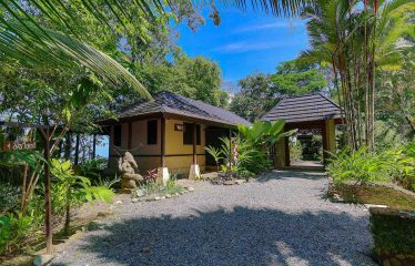THE JUNGLE AND OCEAN VIEWS RETREAT IN THE HILLS OF HATILLO – 0.56 ACRES