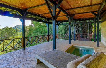 THE JUNGLE AND OCEAN VIEWS RETREAT IN THE HILLS OF HATILLO – 0.56 ACRES