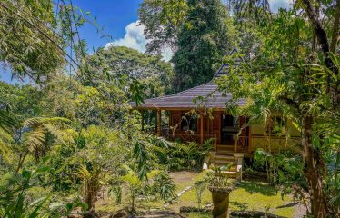 THE JUNGLE AND OCEAN VIEWS RETREAT IN THE HILLS OF HATILLO – 0.56 ACRES