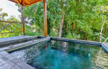 THE JUNGLE AND OCEAN VIEWS RETREAT IN THE HILLS OF HATILLO – 0.56 ACRES