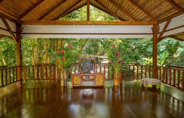 THE JUNGLE AND OCEAN VIEWS RETREAT IN THE HILLS OF HATILLO – 0.56 ACRES