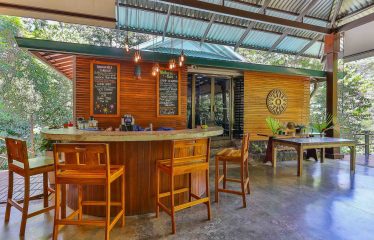 THE JUNGLE AND OCEAN VIEWS RETREAT IN THE HILLS OF HATILLO – 0.56 ACRES