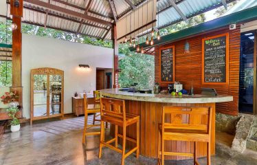 THE JUNGLE AND OCEAN VIEWS RETREAT IN THE HILLS OF HATILLO – 0.56 ACRES