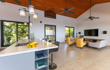 LUXURY PROPERTY WITH SPECTACULAR PANORAMIC OCEAN VIEWS WITH THREE BEDROOMS, IN PIÑUELA – 1.31 ACRES