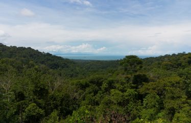 PROPERTY WITH A TWO BEDROOMS AND OCEAN VIEWS AND GUEST HOUSE, IN PLAYA HERMOSA – 6.45 ACRES