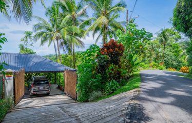 PROPERTY WITH A TWO BEDROOMS AND OCEAN VIEWS AND GUEST HOUSE, IN PLAYA HERMOSA – 6.45 ACRES