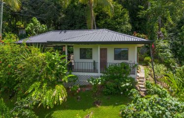 PROPERTY WITH A TWO BEDROOMS AND OCEAN VIEWS AND GUEST HOUSE, IN PLAYA HERMOSA – 6.45 ACRES