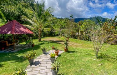 PROPERTY WITH MAIN RESIDENCE AND INDEPENDENT LODGE, IN TRES RÍOS DE OJOCHAL – 3.12 ACRES