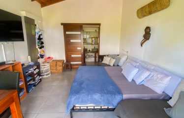 PROPERTY WITH MAIN RESIDENCE AND INDEPENDENT LODGE, IN TRES RÍOS DE OJOCHAL – 3.12 ACRES