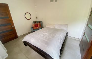 PROPERTY WITH MAIN RESIDENCE AND INDEPENDENT LODGE, IN TRES RÍOS DE OJOCHAL – 3.12 ACRES