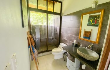 PROPERTY WITH MAIN RESIDENCE AND INDEPENDENT LODGE, IN TRES RÍOS DE OJOCHAL – 3.12 ACRES