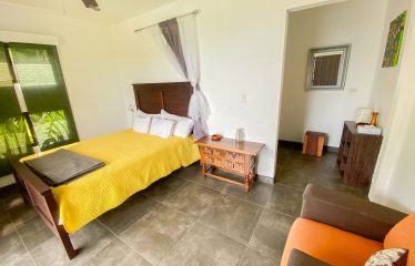 PROPERTY WITH MAIN RESIDENCE AND INDEPENDENT LODGE, IN TRES RÍOS DE OJOCHAL – 3.12 ACRES