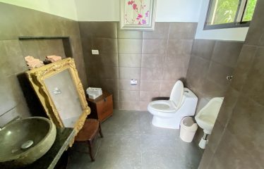 PROPERTY WITH MAIN RESIDENCE AND INDEPENDENT LODGE, IN TRES RÍOS DE OJOCHAL – 3.12 ACRES