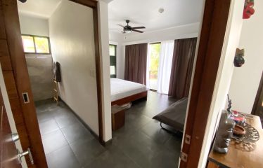 PROPERTY WITH MAIN RESIDENCE AND INDEPENDENT LODGE, IN TRES RÍOS DE OJOCHAL – 3.12 ACRES