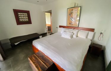 PROPERTY WITH MAIN RESIDENCE AND INDEPENDENT LODGE, IN TRES RÍOS DE OJOCHAL – 3.12 ACRES