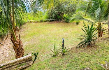 PROPERTY WITH MAIN RESIDENCE AND INDEPENDENT LODGE, IN TRES RÍOS DE OJOCHAL – 3.12 ACRES